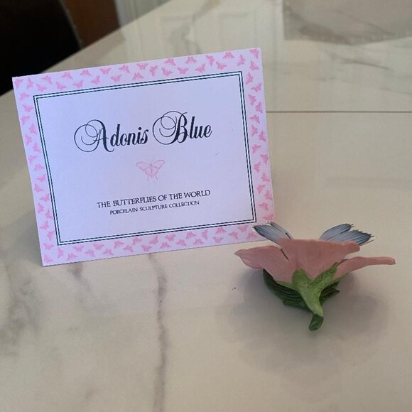 Butterflies From Around the World on their own Native Flowers - Picture 7 of 9